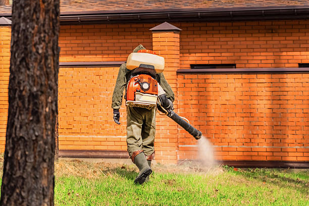 Bed Bug Clearance Verification and Documentation in Riverview